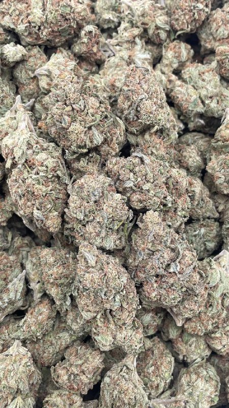 Green Crack