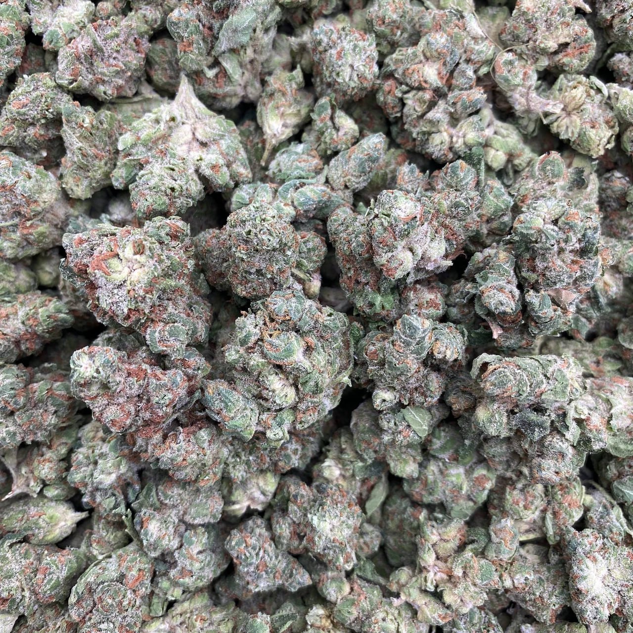 Fruity Pebblez