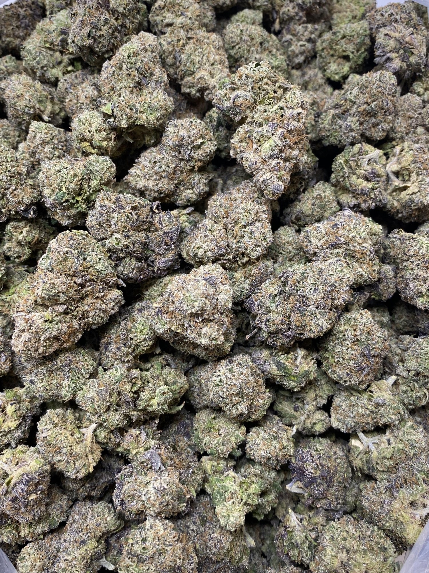 Sour Mambaz