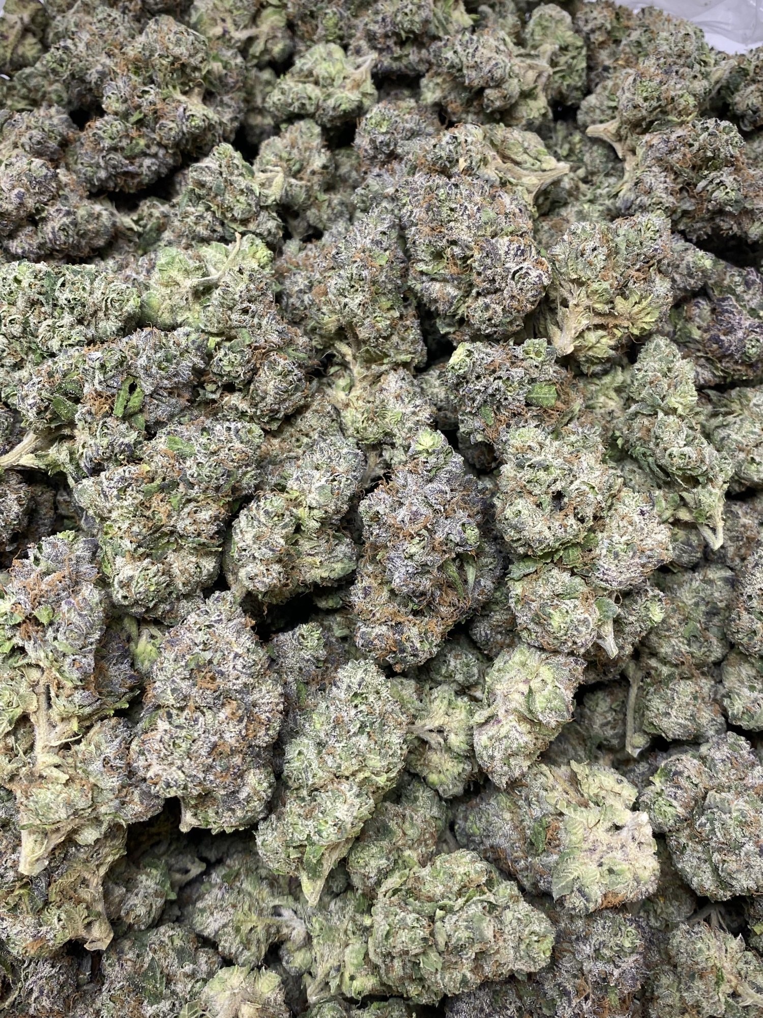 Sour Apple Fritter