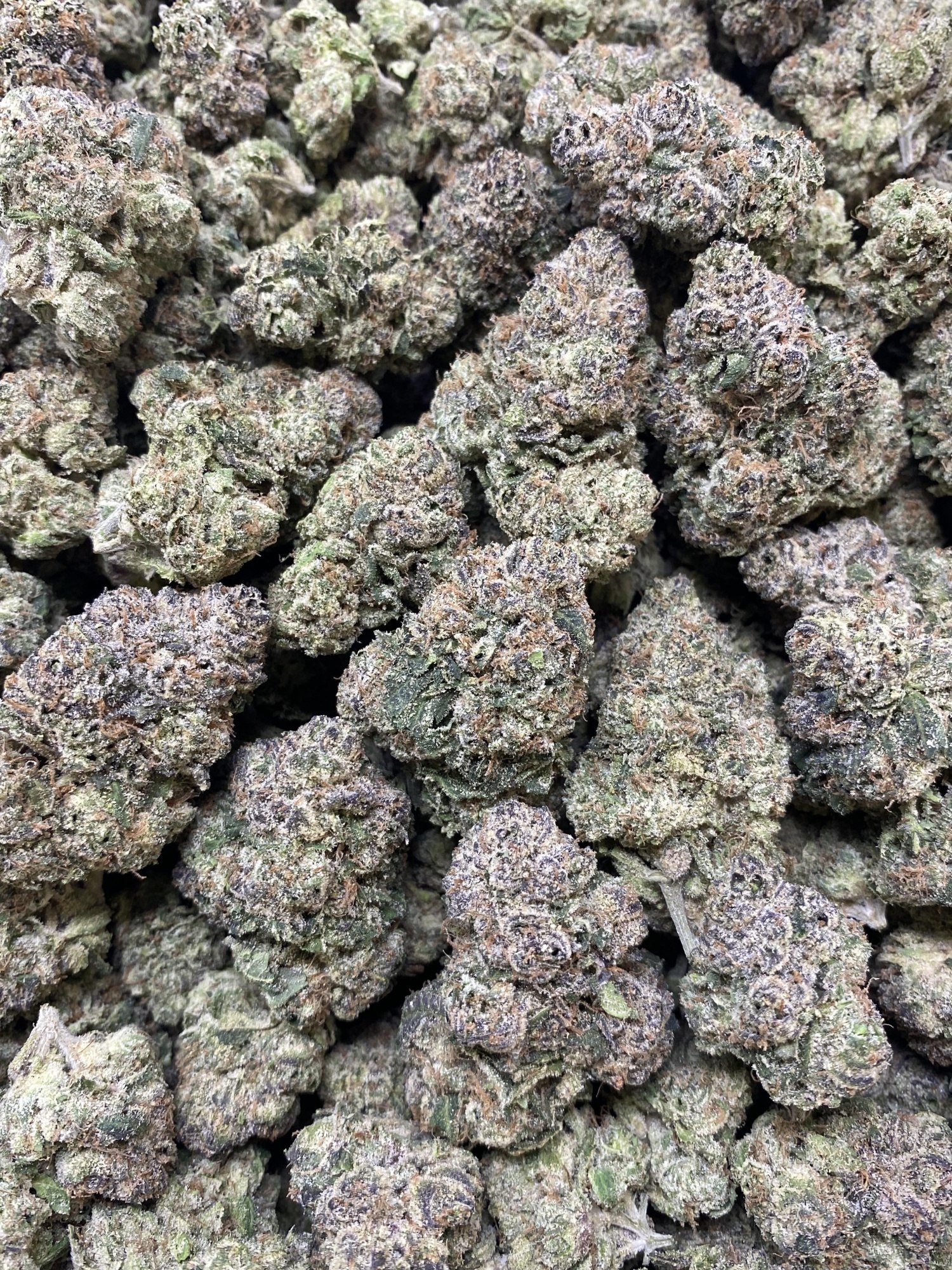Sour Banana Sherbert