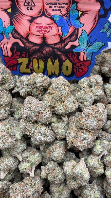 Zumo By Ph New Batch
