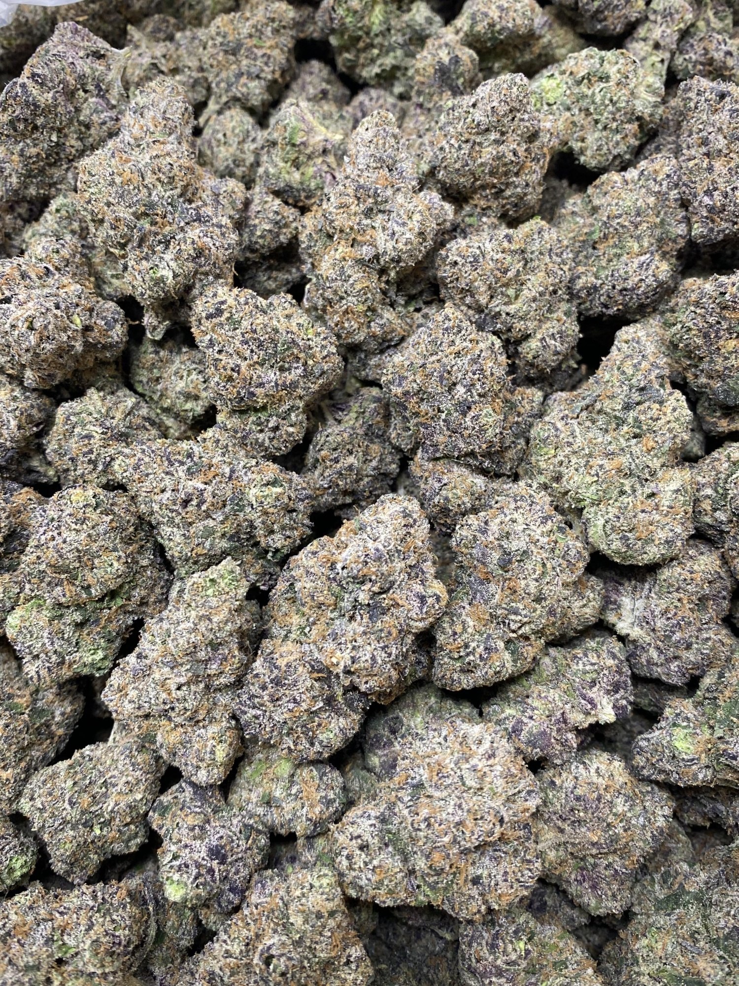 Blue Cookies