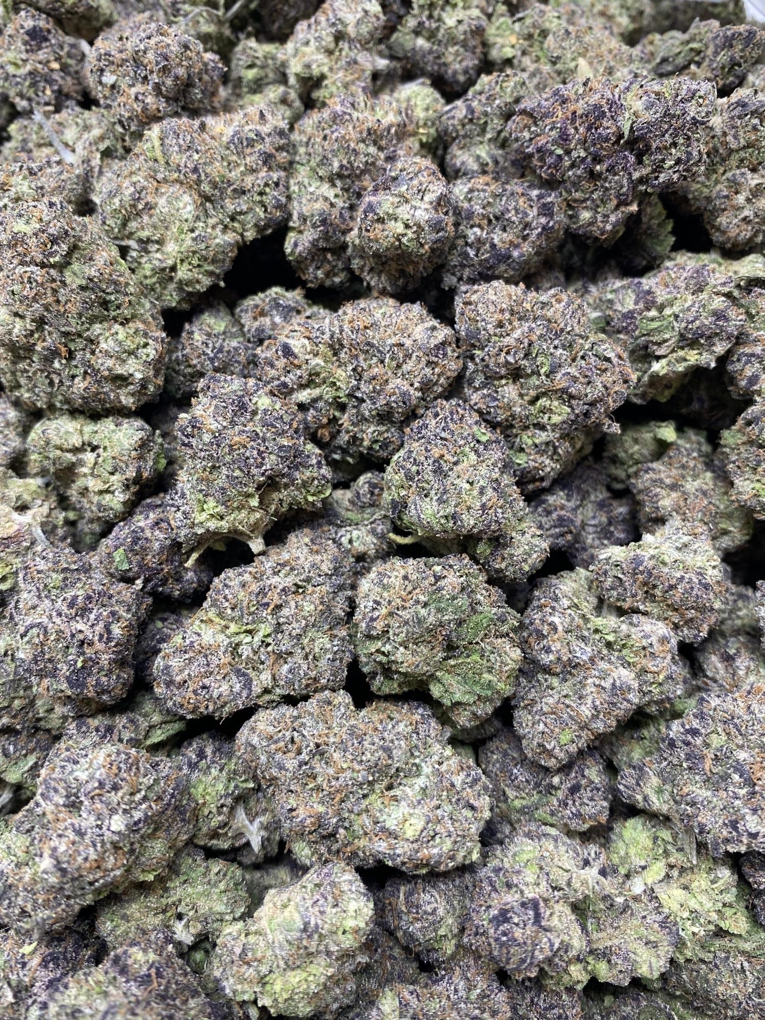 Black Sugar