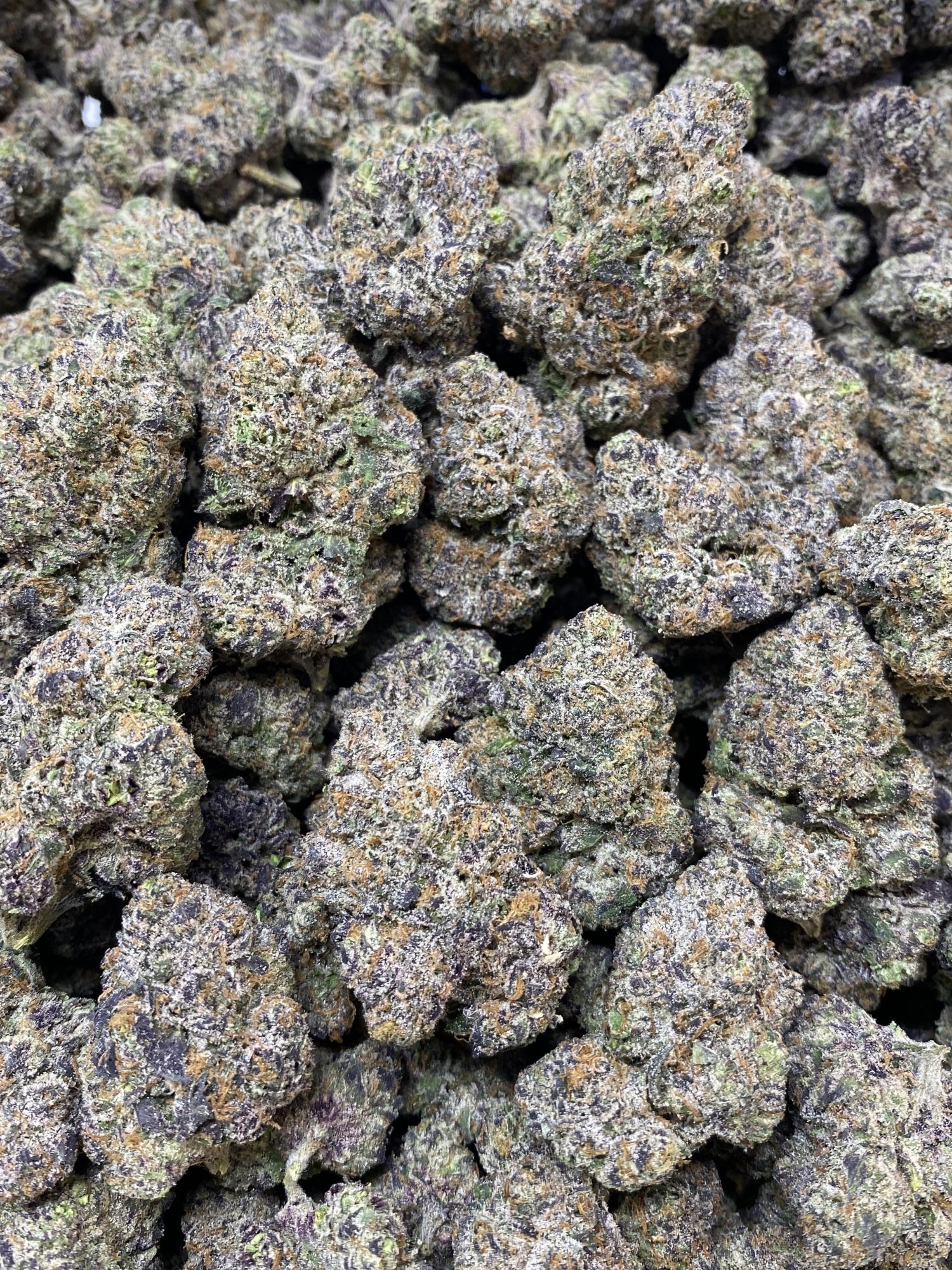 Blueberry Caviar