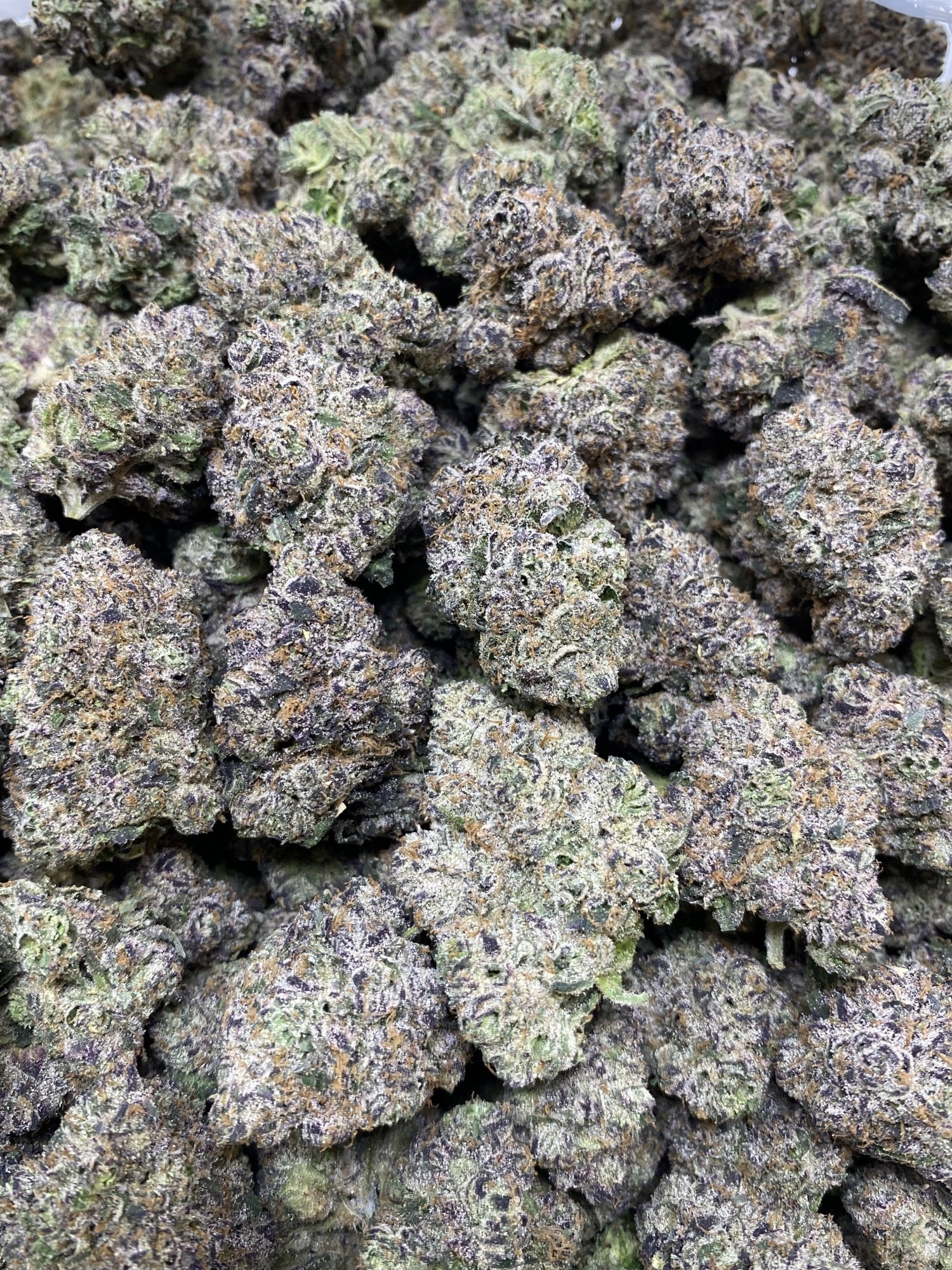 Blueberry Pancakes