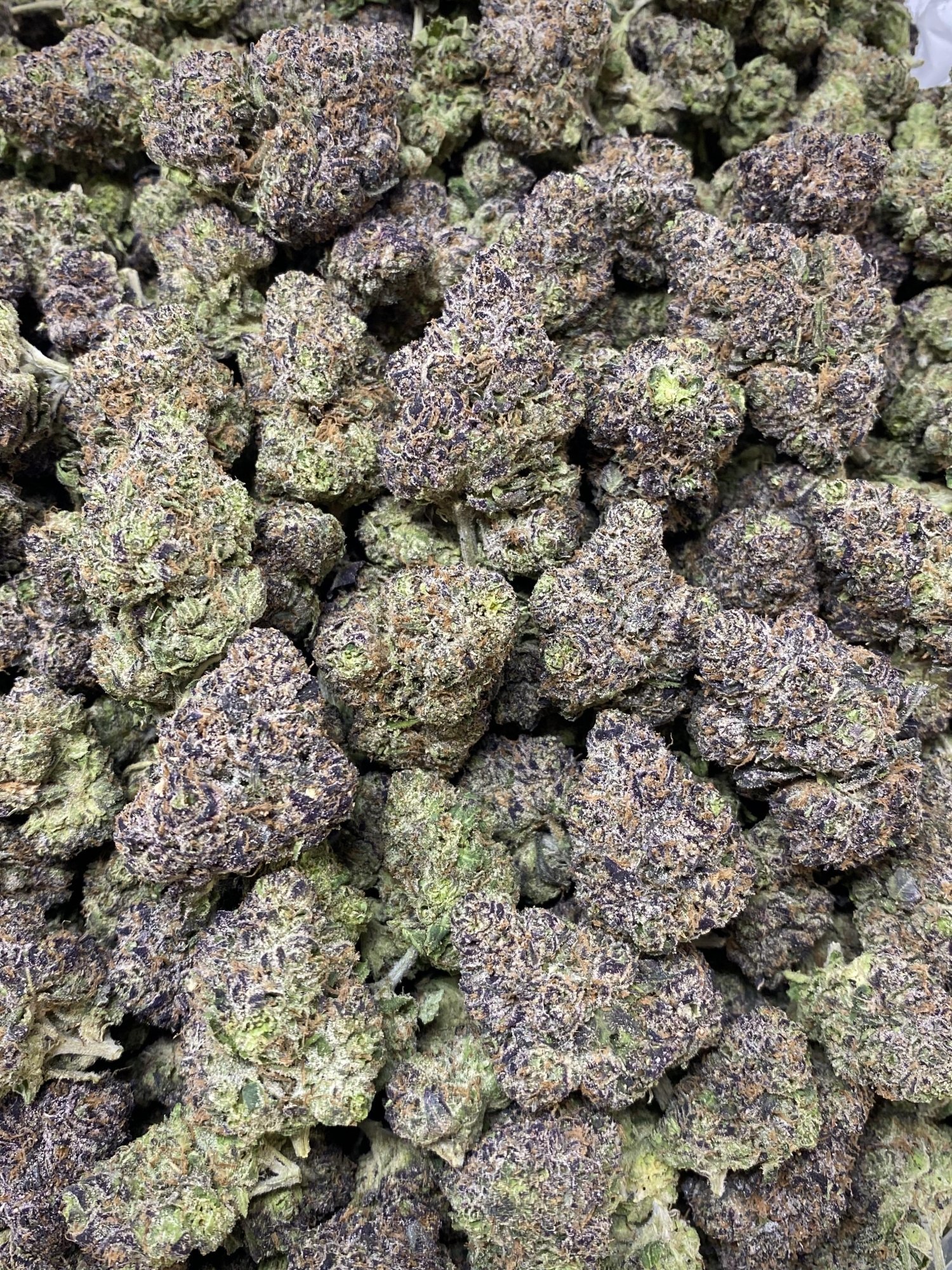 Blue Sunset Sherbert