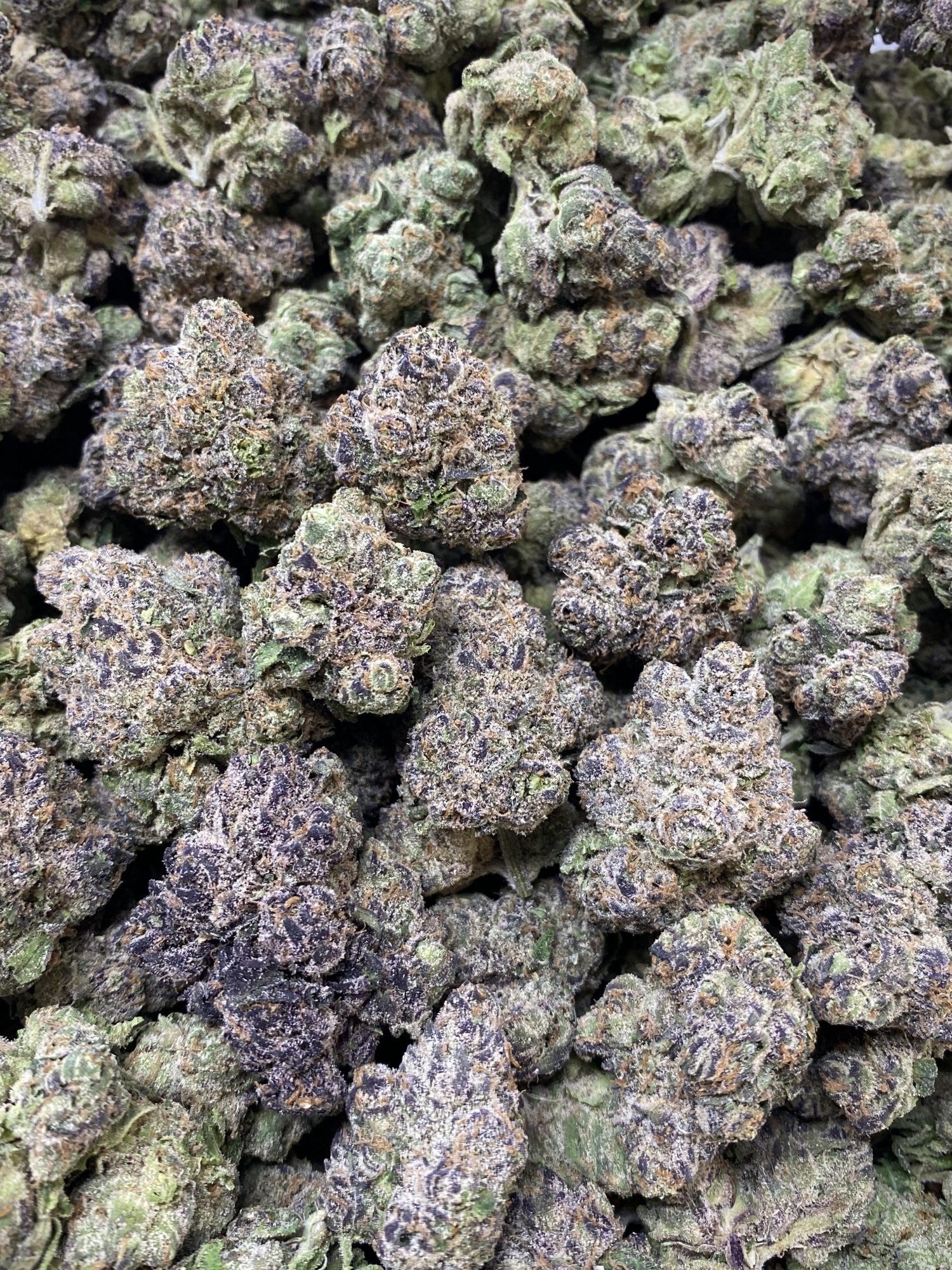Blue Razz Gelato