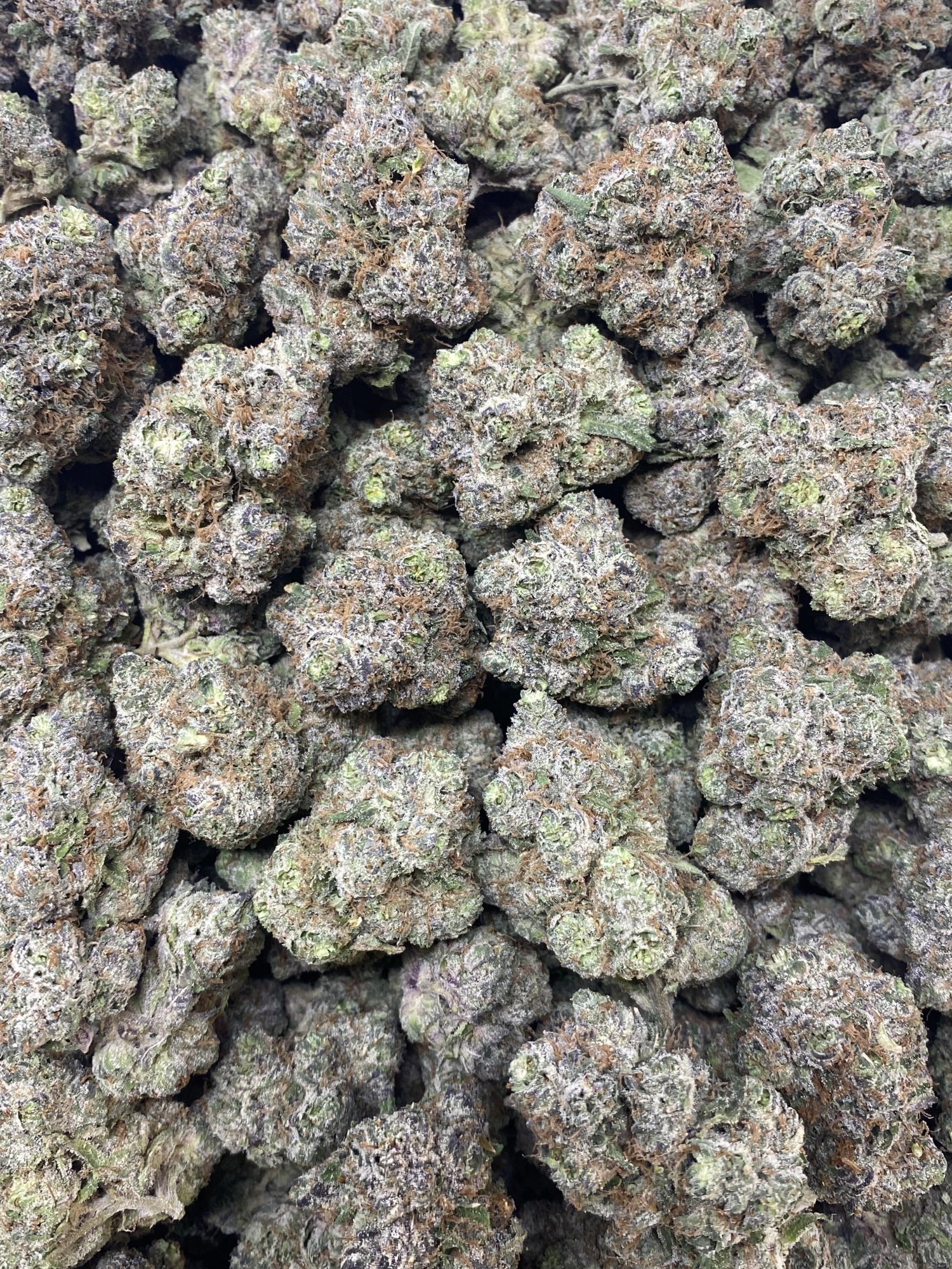 Creamsaverz