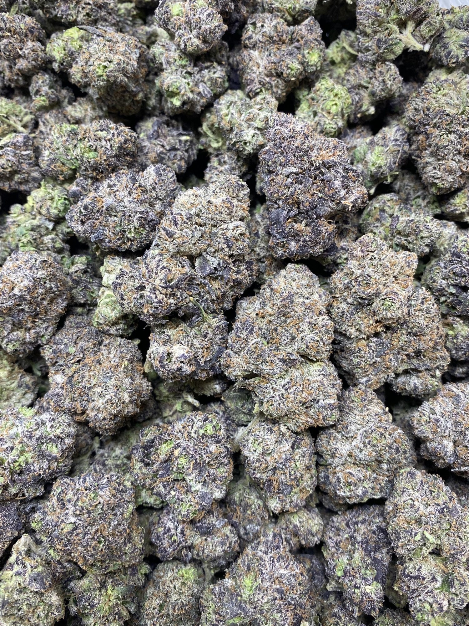 Frosted Flakes
