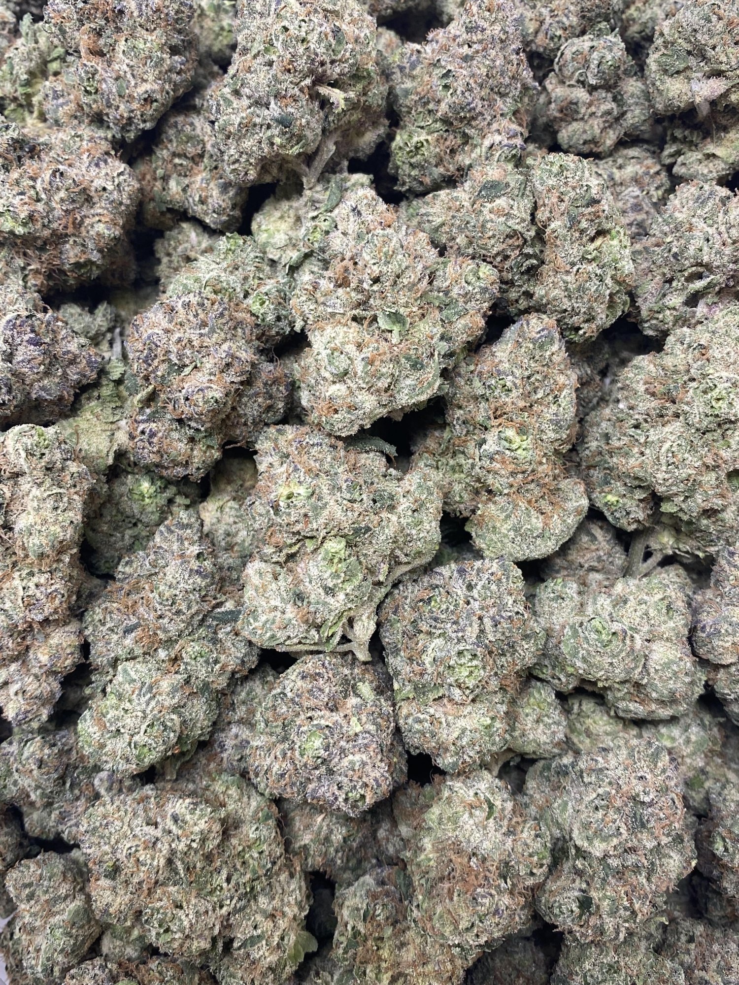 Frosty Lime Zest
