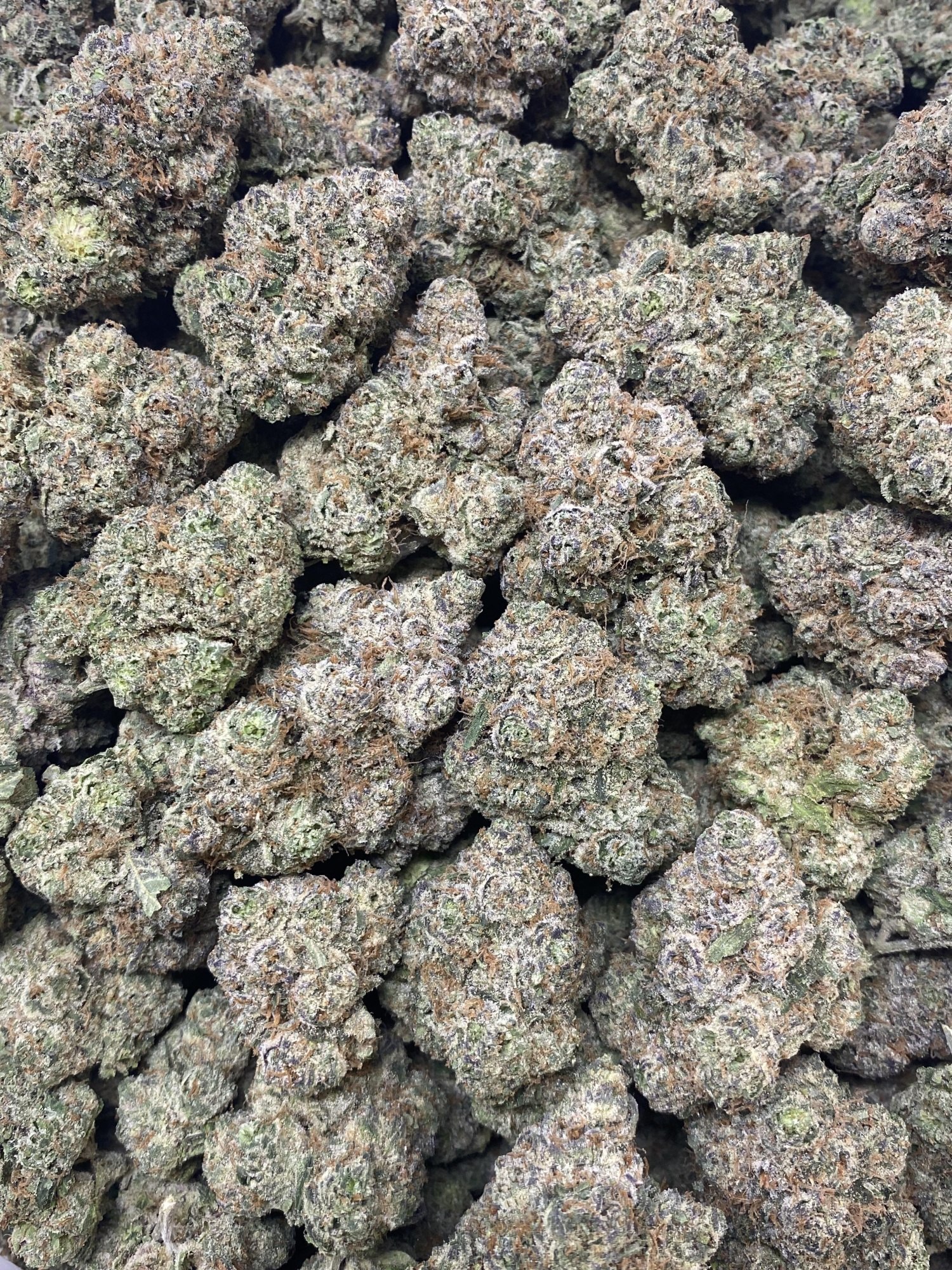 Lemon Haze