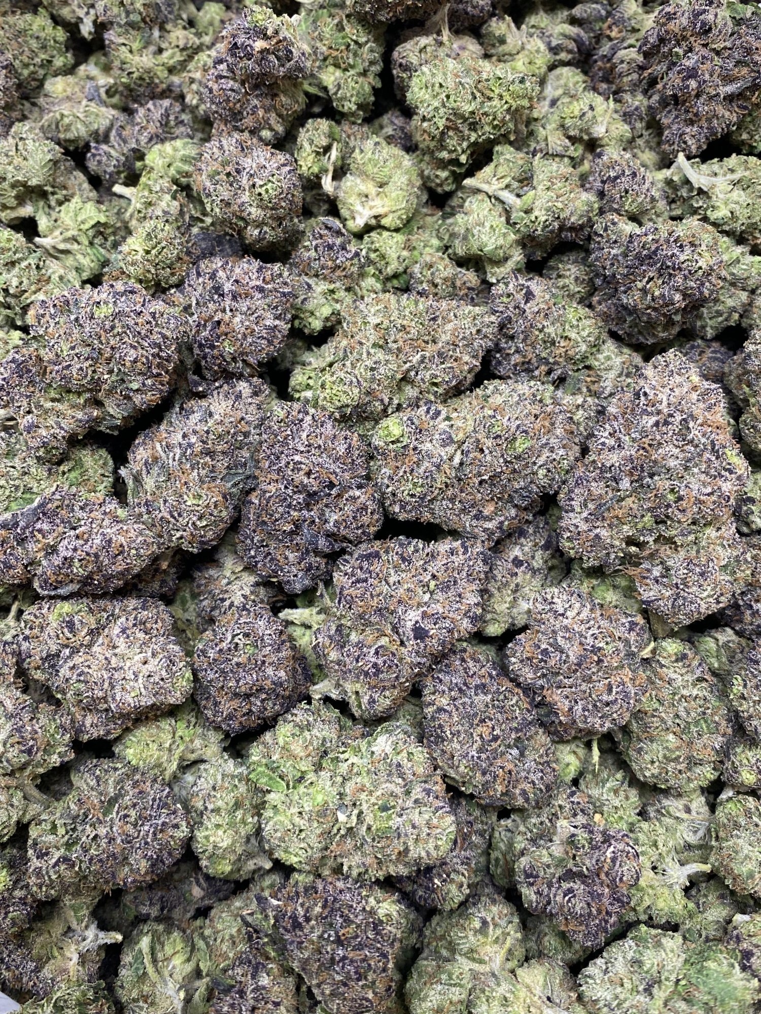 Papaya Bomb