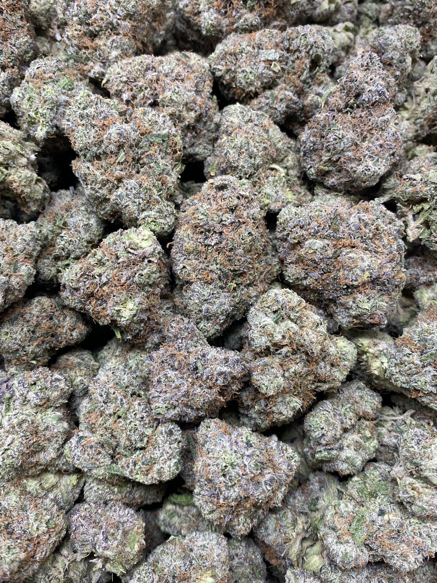 Pink Lemonade