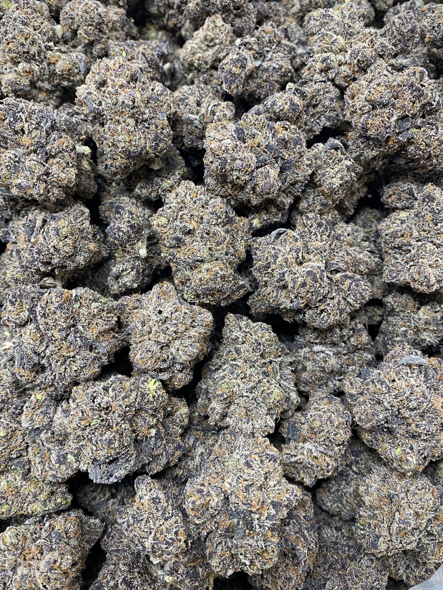 Pink Acai