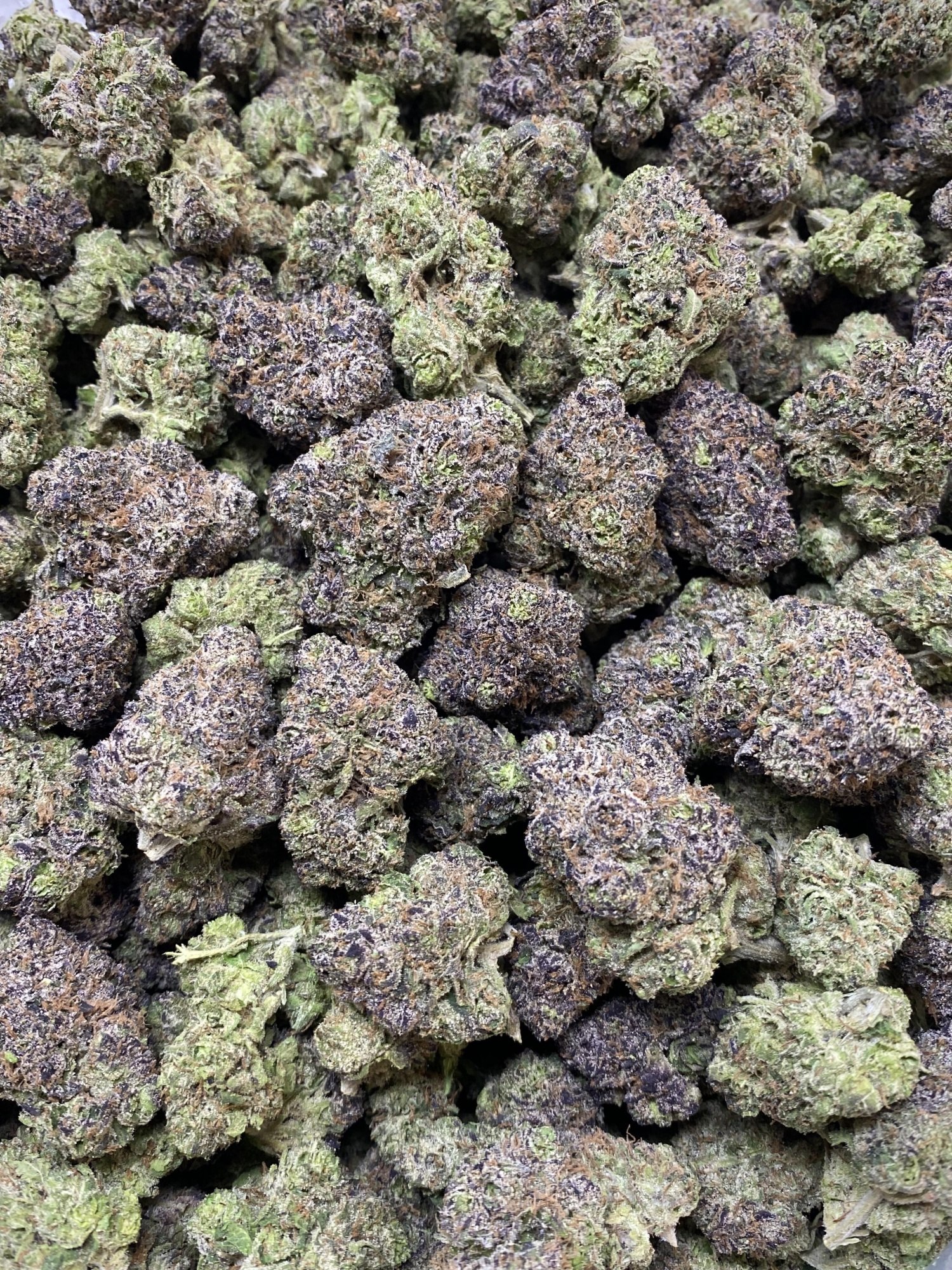Purple Tesla