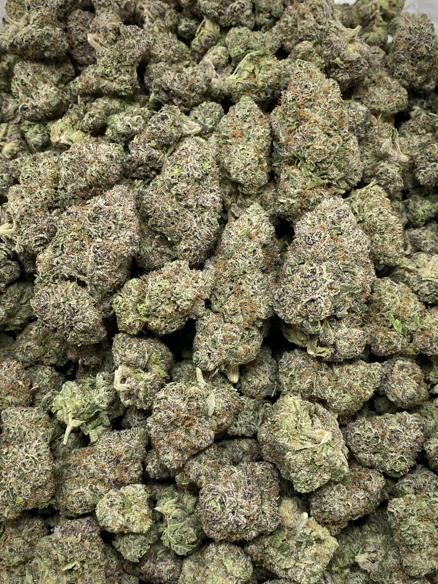 Sour Power