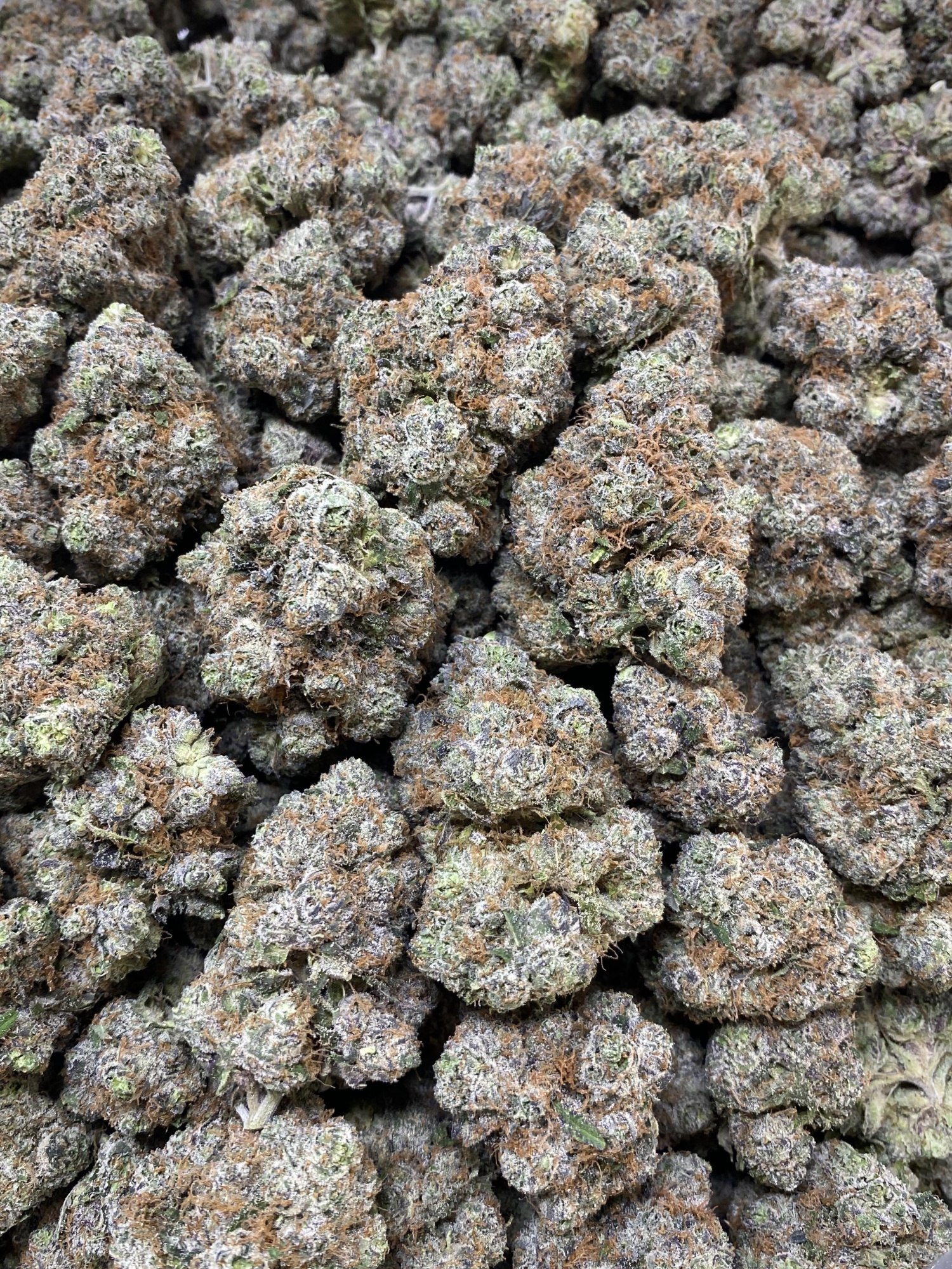 Starburst