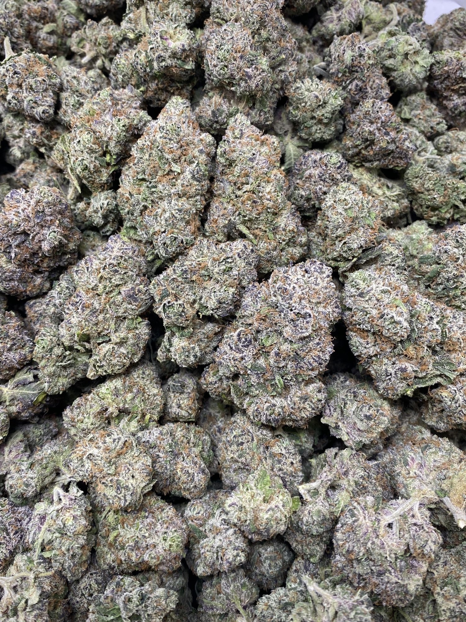 Strawberry Cherry Gelato