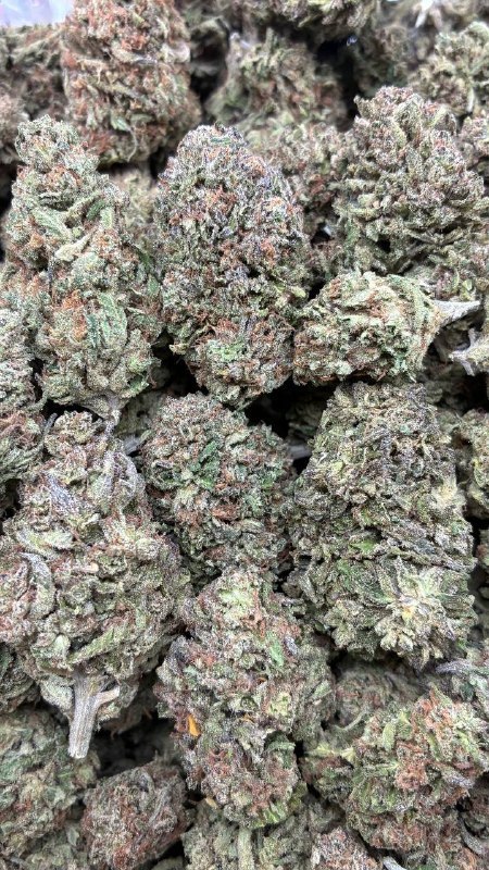 Blue Dream