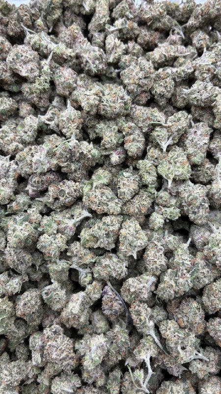 Candy Gas Smalls
