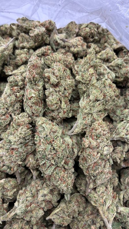 Candy Jack