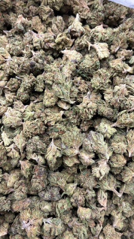 Gas Runtz Smalls