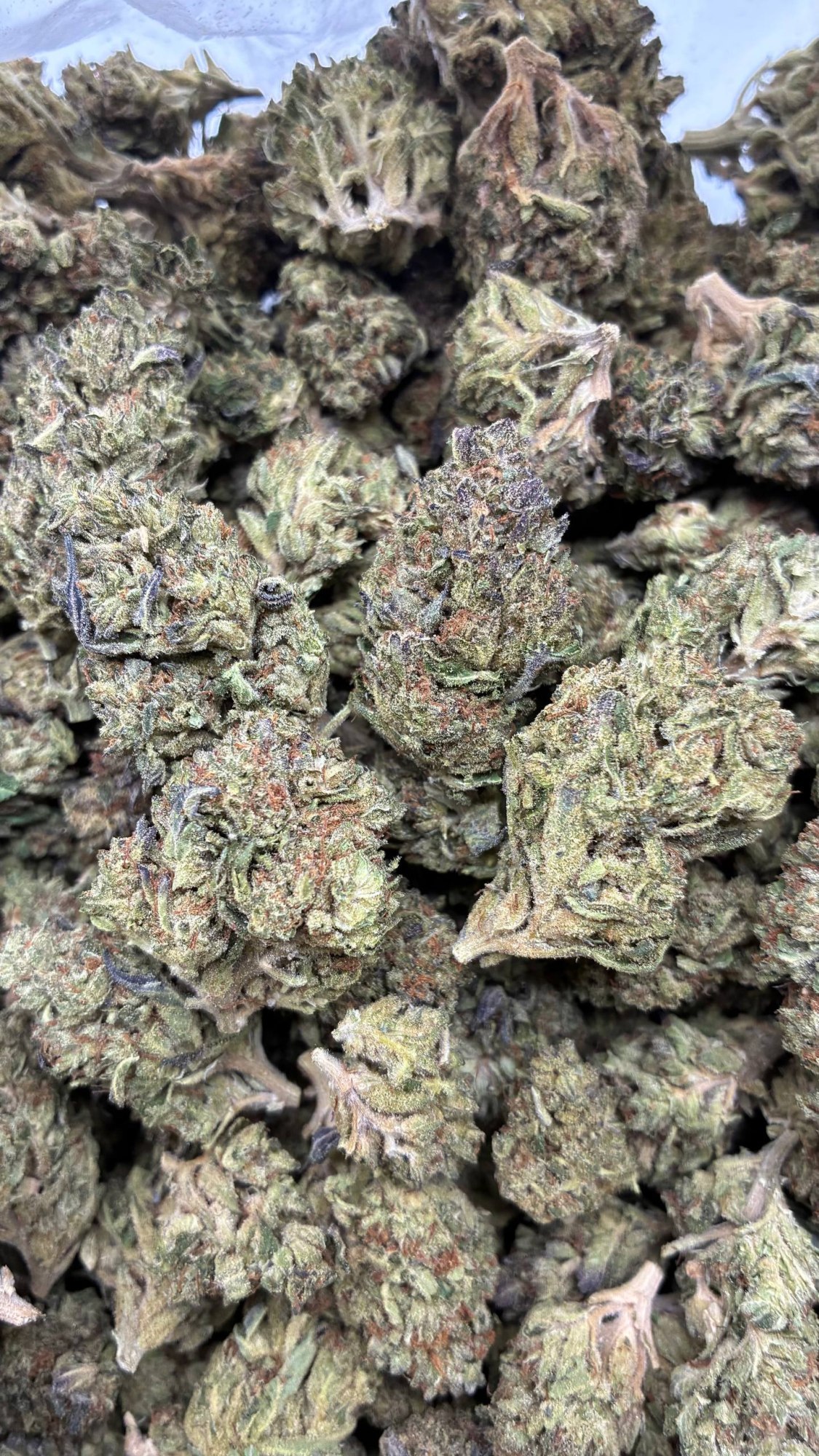 Holy Grail Smalls