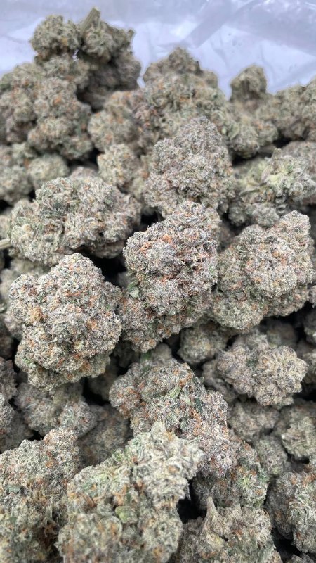 Gsc