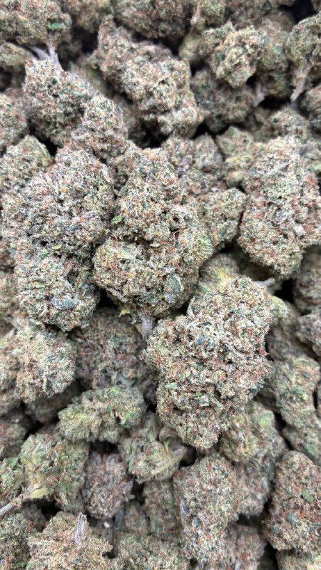 Gumbo Candy Clearance