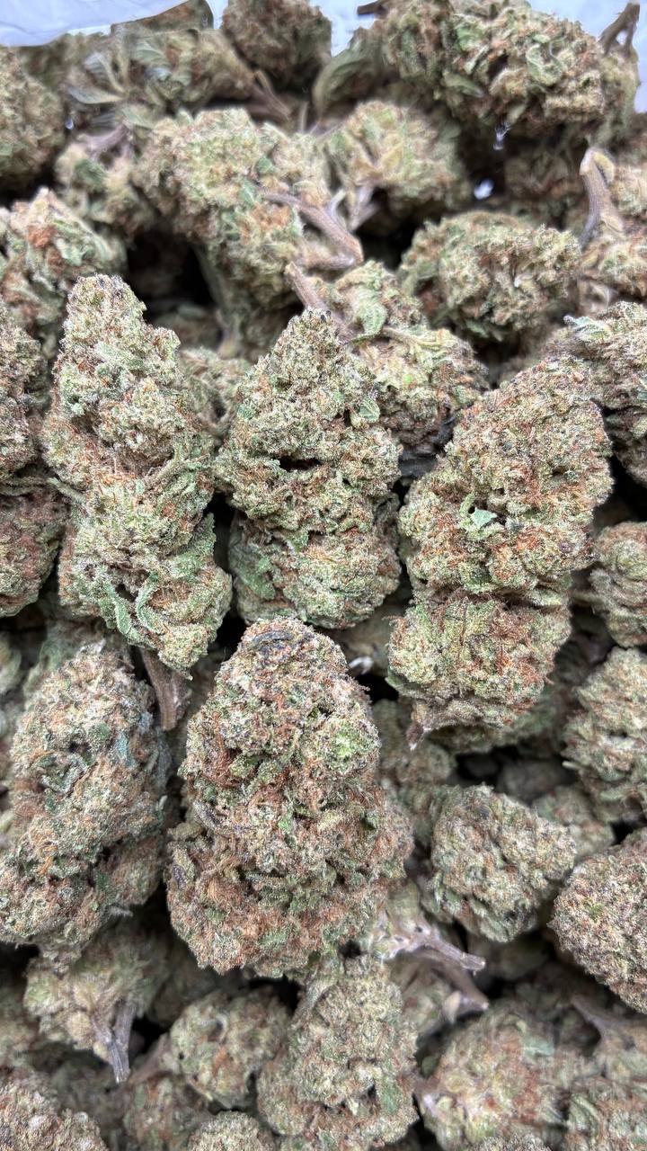 Kush Mintz