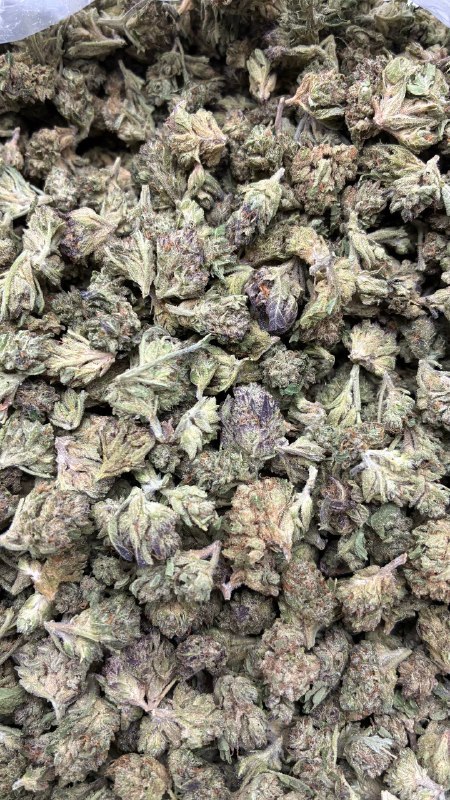 Lemon Cherry Zoap Smalls