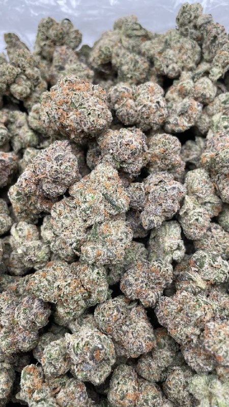Melon Soda Pop Cali Licensed