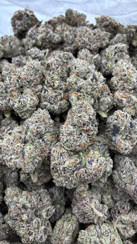 Magic Gum Drop Cali Licensed