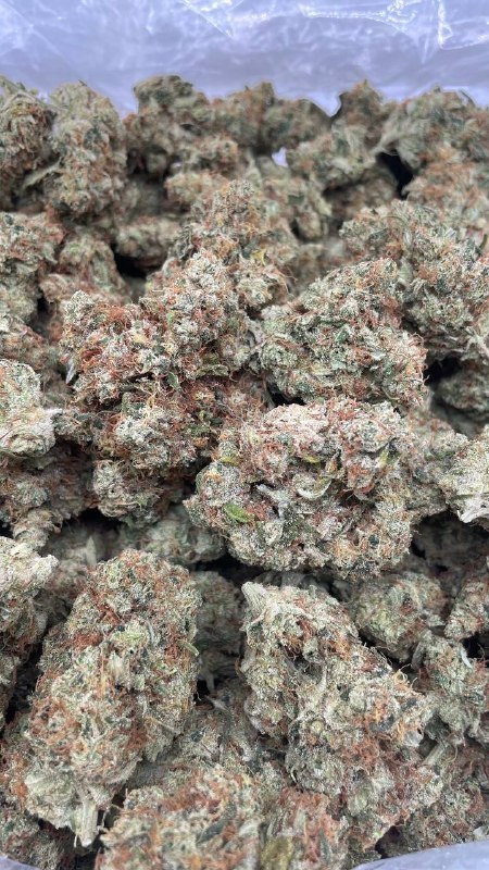 Northern Haze Cali Licensed