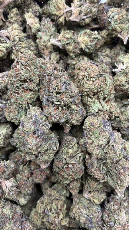 Mule Fuel