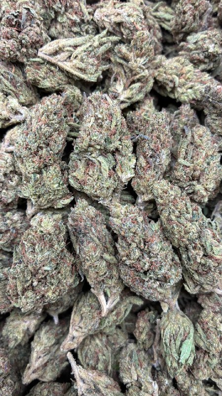 Orange Creamsicle