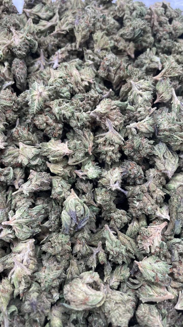 Sfv Og Smalls