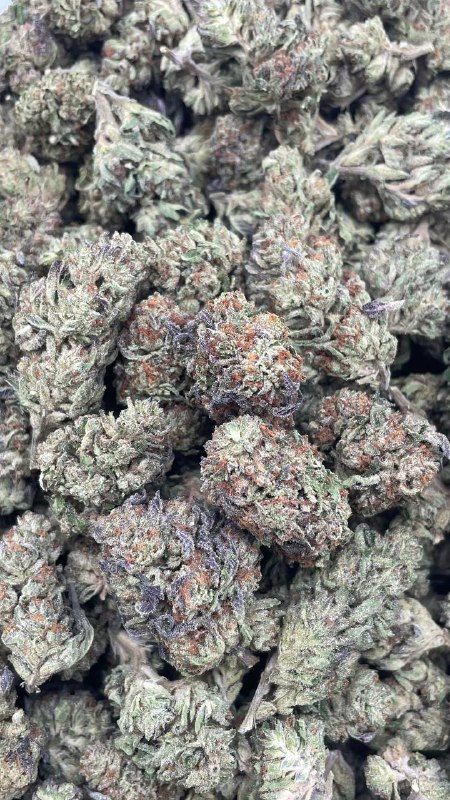 Sfv Og