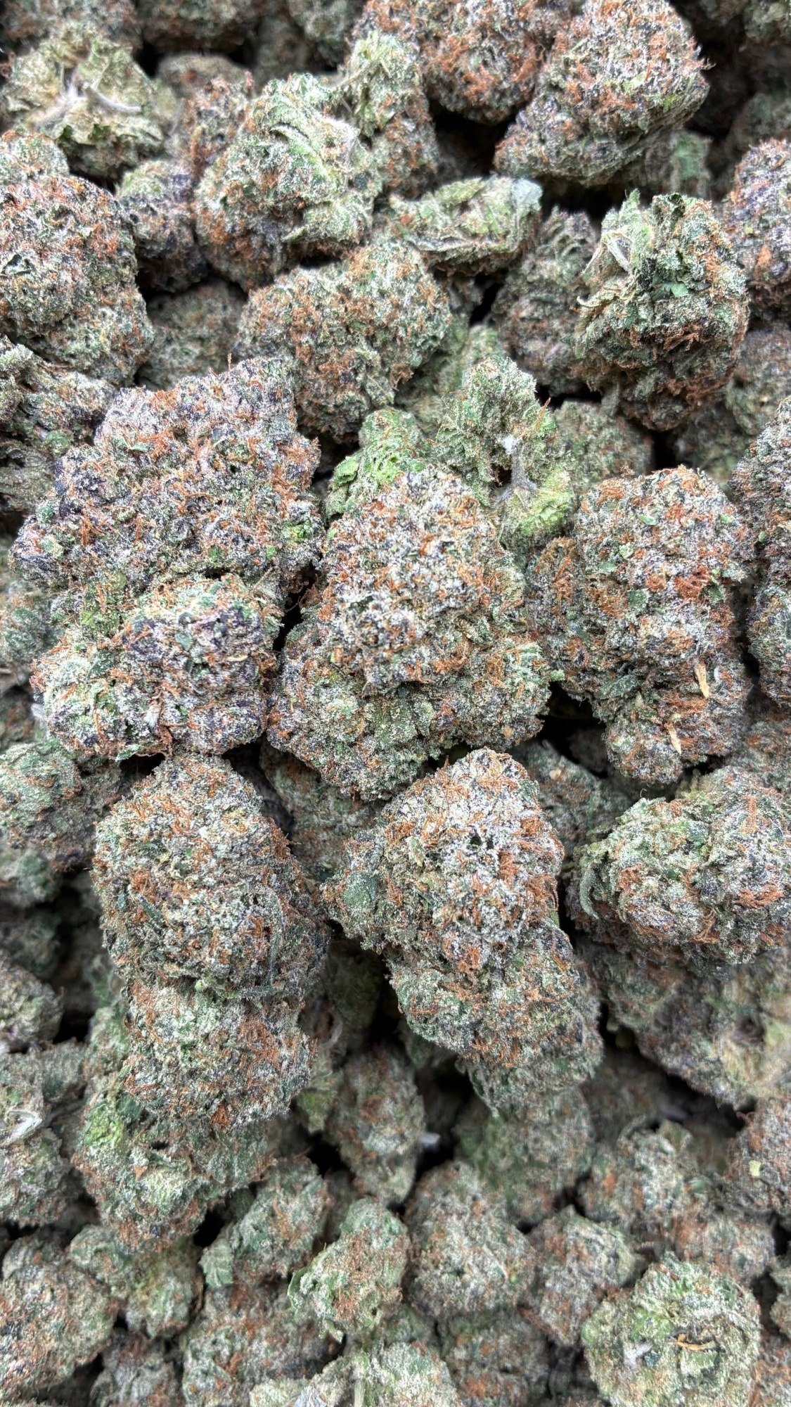 Snicker Candy