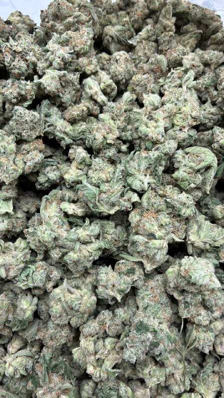 Sour Animal Cookie Smalls