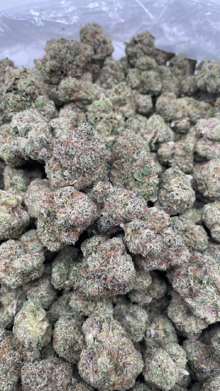 White Runtz Hi Mart Cali Licensed