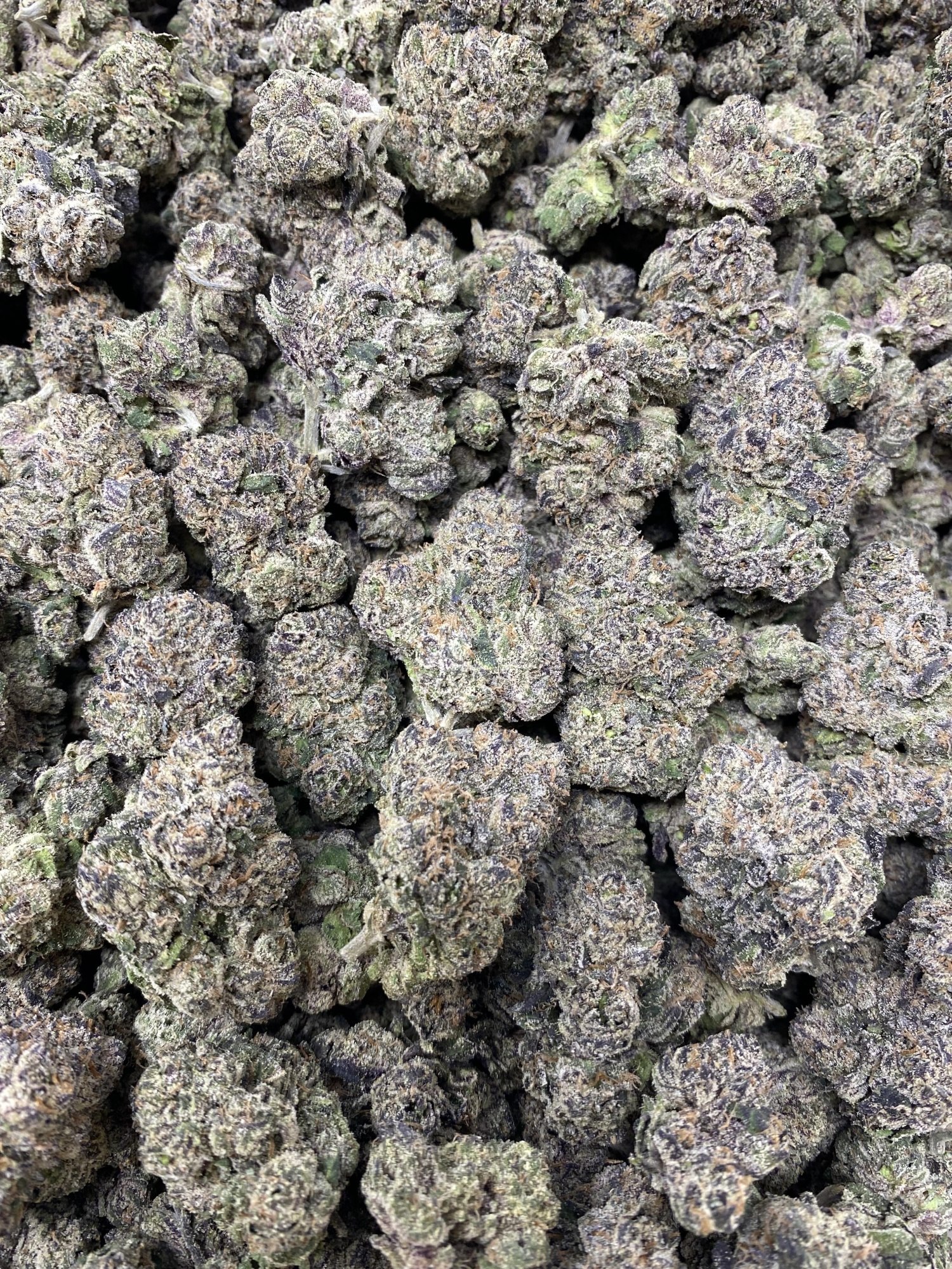 Sweet Tartz
