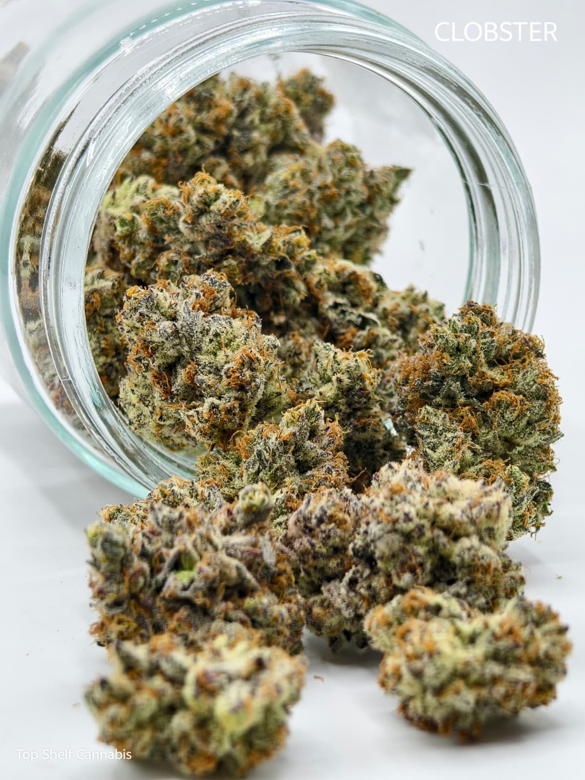Dealers Choice Exotic