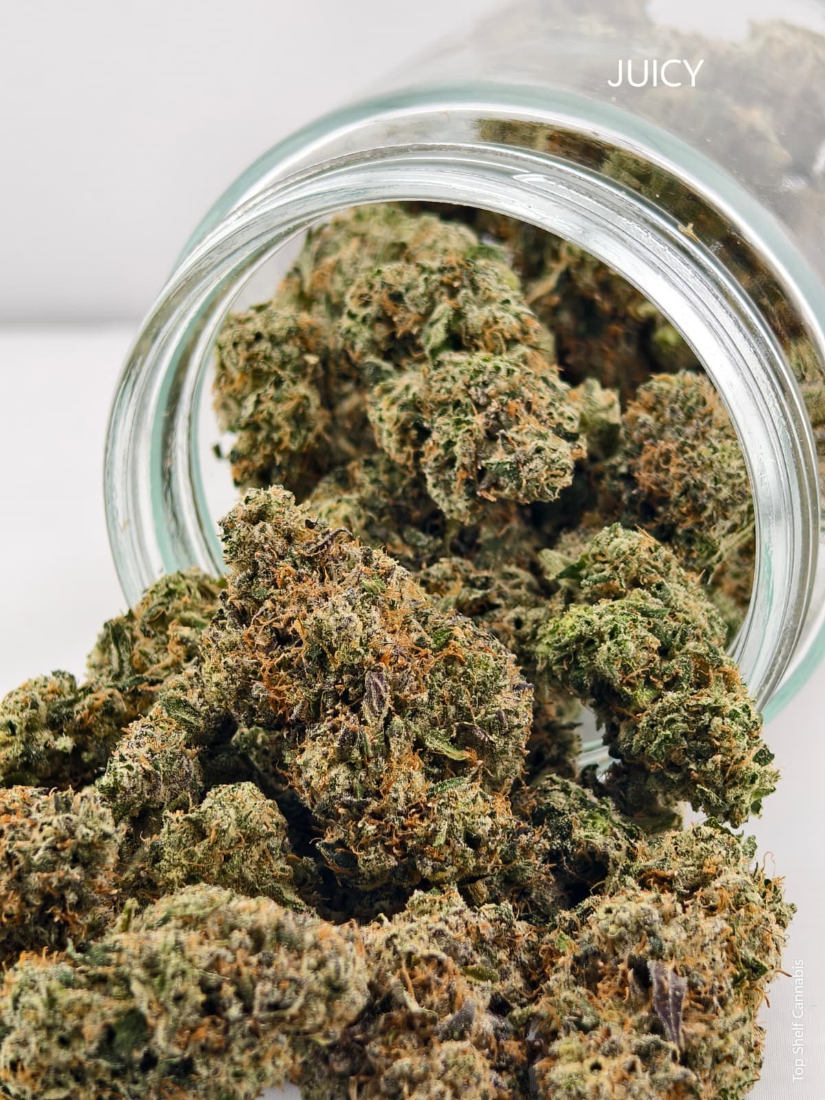 Juicy G