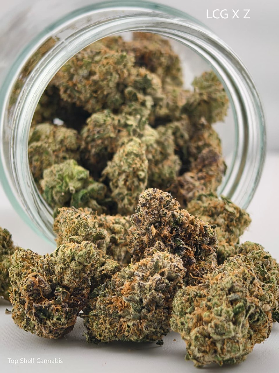 Lcg x Zkittles