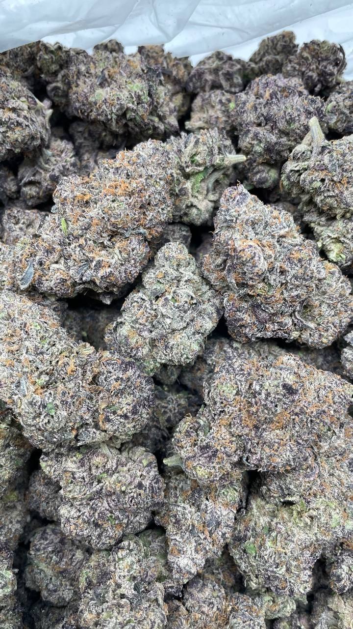 Black Starburst