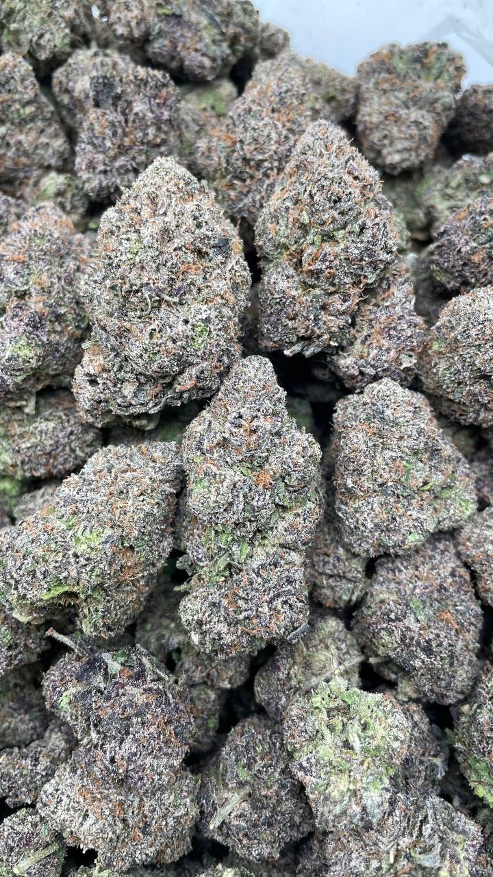Bolo Berries