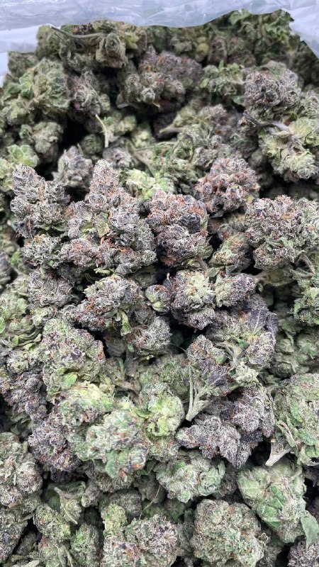 Purple Gelato Smalls