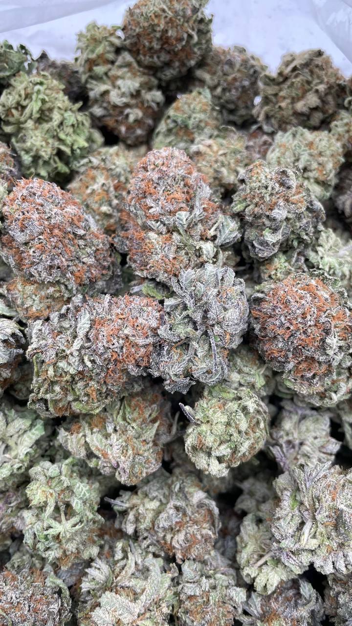 Purple Platinum Bubba Kush